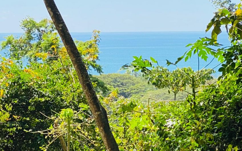 Lote con Hermosa vista al océano, Playa hermosa de Cóbano, Puntarenas, Costa Rica, América Central. Cod. GUT-FV00100