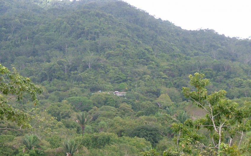 VENTA DE FINCA UBICADA EN UN PARAISO TROPICAL EN COBANO – LA ESPERANZA COSTA RICA  GUT-FV00122